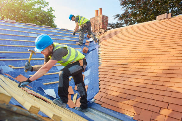 Best Roof Moss and Algae Removal  in Venice, IL