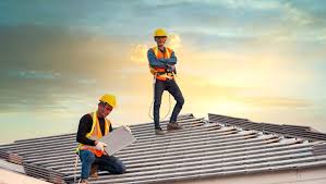 Best Roof Moss and Algae Removal  in Venice, IL